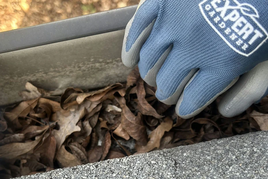 Gutter Cleaning Covington