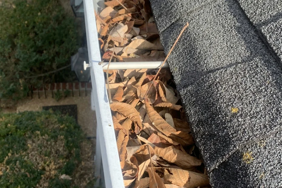 Gutter Cleaning Covington