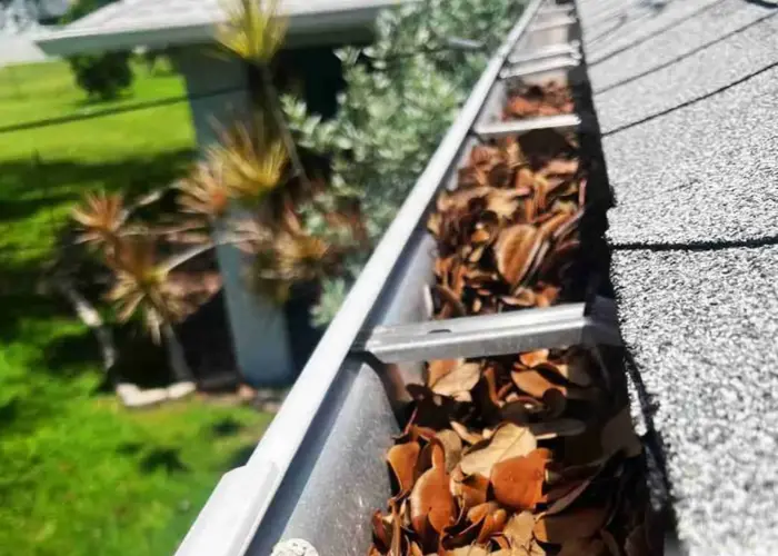 Gutter Cleaning Covington home page